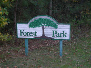 forestpark.jpg